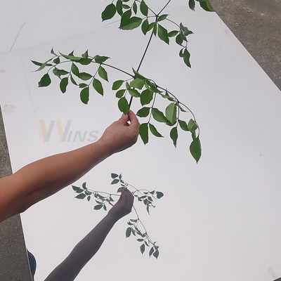 ورق فولادی ضد زنگ سوپر آینه BA Finished SUS 430 نورد سرد 1500mm